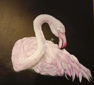 Růžový plameňák